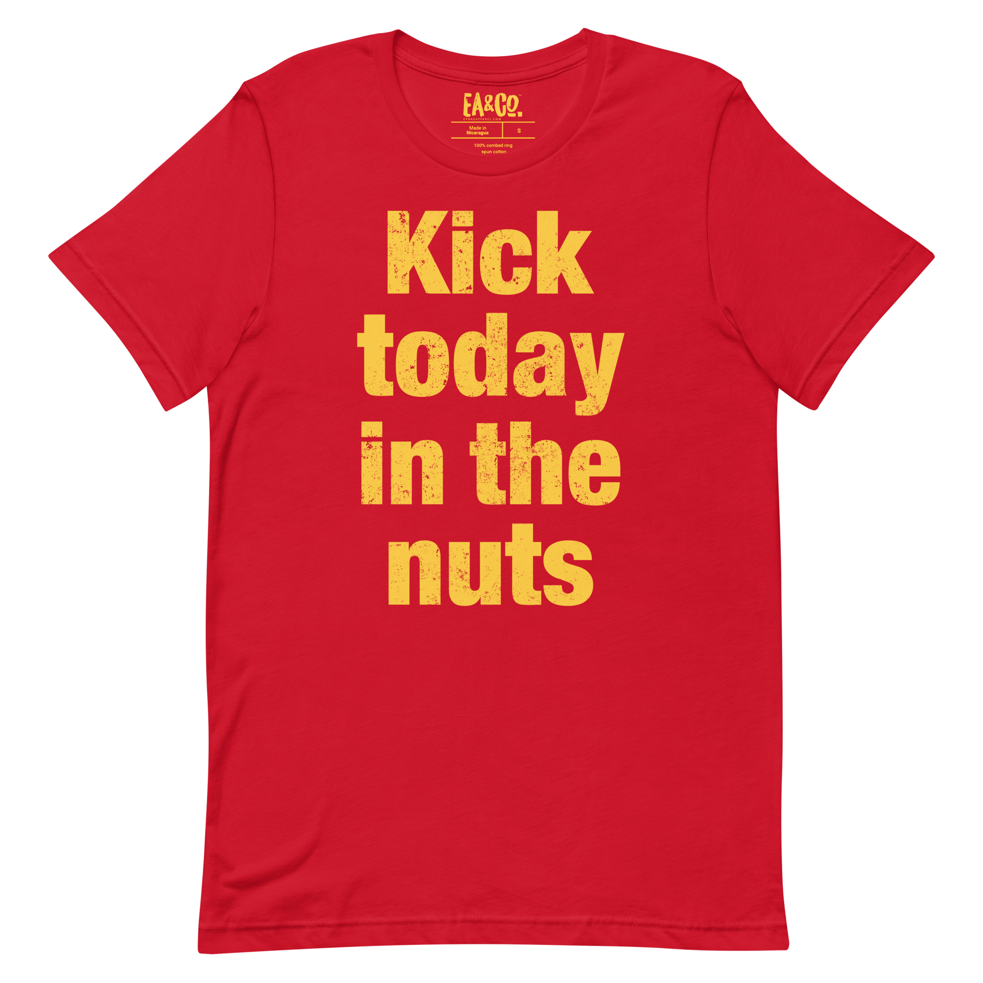 Kick Today in the Nuts T-shirt